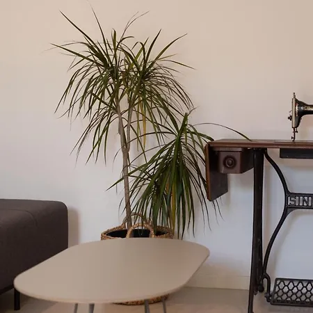 Center アパート マカルスカ